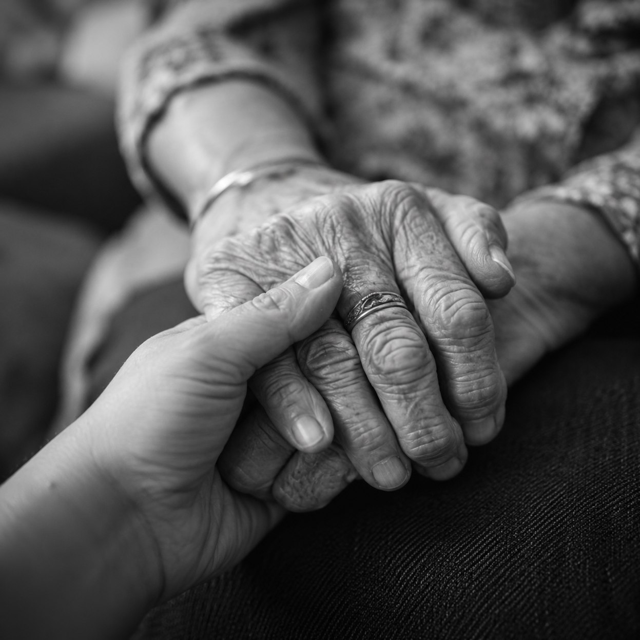 A younger hand cradling the ringed hand of an elder, one generation holding another.